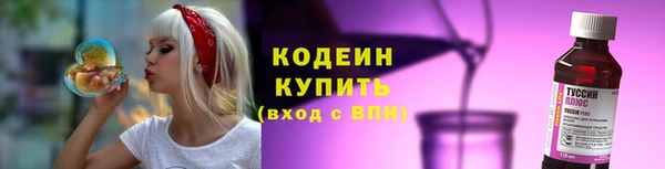 тгк Абаза