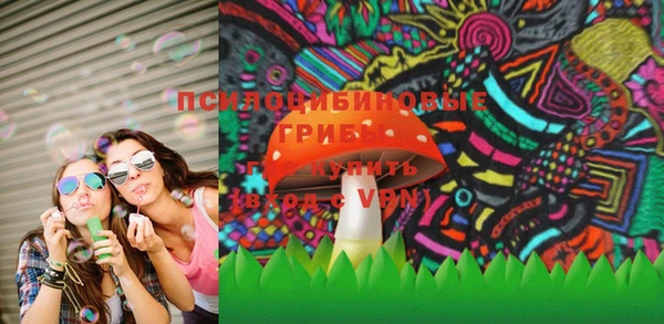 кокс Алексин