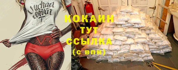 тгк Абаза