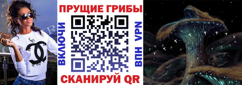 Галлюциногенные грибы ЛСД  Сокол 